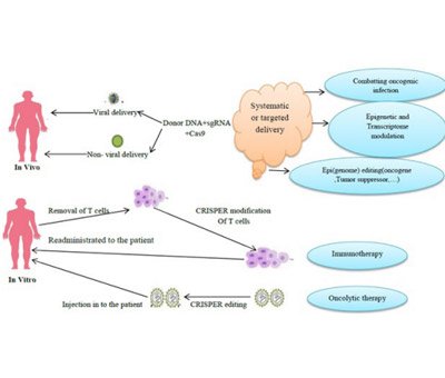 Crispr/Cas9 Technology and Cancer Therapy: A Brief Review on Therapeutic Methods and Challenges